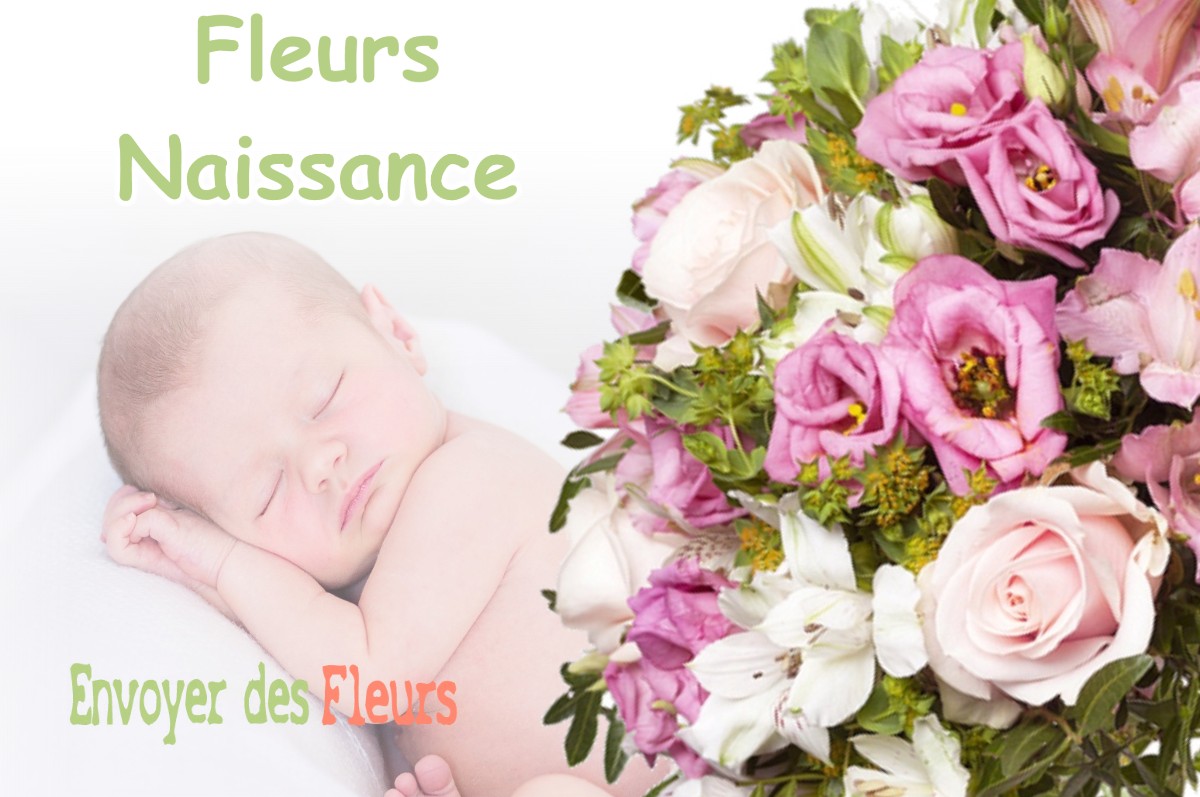 lIVRAISON FLEURS NAISSANCE à VALLESVILLES